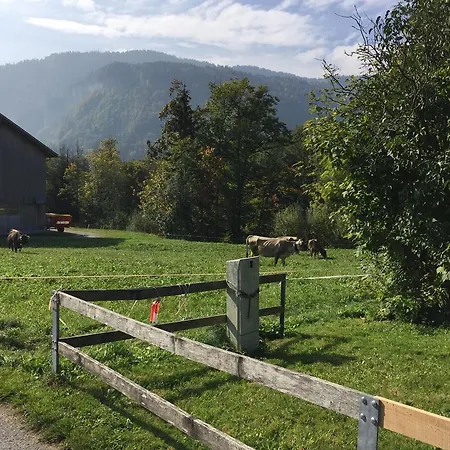 Apartment Chalet Schwarzenberg im Bregenzerwald