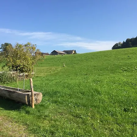Apartment Chalet Schwarzenberg im Bregenzerwald